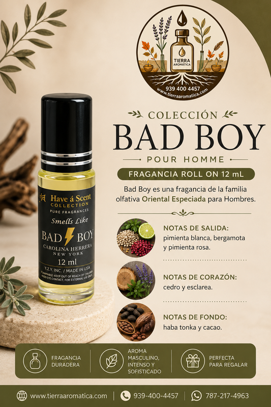 Bad Boy roll on 12 ml